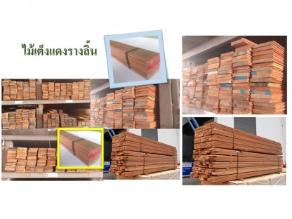 ไม้เต็งเเดงทุกรูปเเบบ - ศูนย์รวมไม้อัดและไม้แปรรูปราคาถูก-สีเหลื่อมค้าไม้